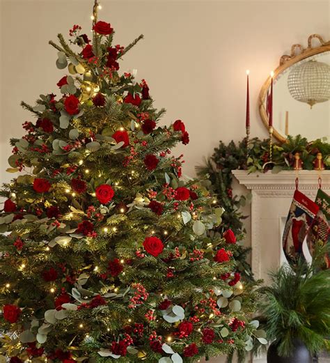 The Christmas Tree Archive: Christmas Tree Designs 